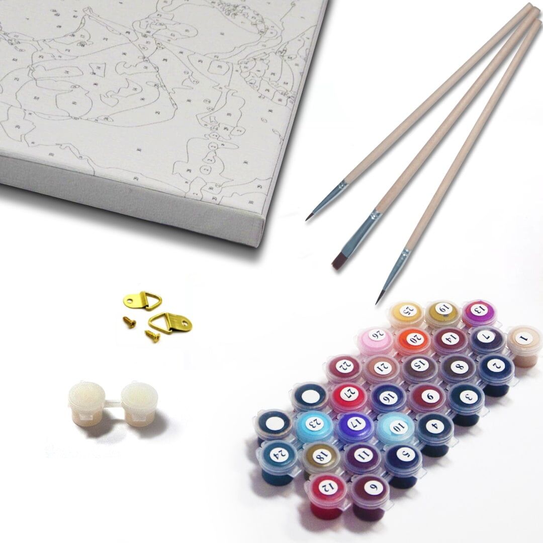 PBN - Kit Contents DIY Sports Art Kit contents premium framed canvas numbered acrylic paints 3 paint brushes wall hangers and polish